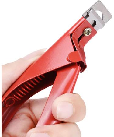 Toenail Clippers Nail Clippers Cuticle Clipper Nail Clipper Professional Acrylic UV Gel Fake Artificial Tips Edge Cutter Professional Nail Art Manicure Tool Red (Color : Red) - Buy Online on GoSupps.com