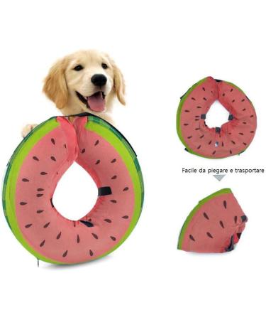 Ducomi XS Watermelon Inflatable Hinges for Dogs & Cats | Post-Operation Relaxation | Freedom of Movement & Scratch Protection - Buy Online on GoSupps.com