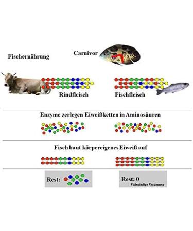 Buy JBL NovoPleco Complete Food for Small Sucker Catfish - 1L Tablets | Ideal for 1-20 cm Fish | International Shipping Available - Buy Online on GoSupps.com