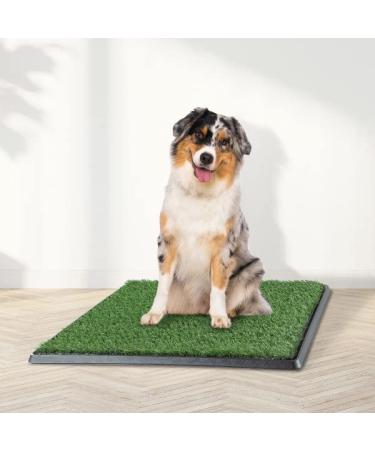 Petmaker Artificial Grass Puppy Pad with Tray - Medium Size 3-Layer System for Dog Training and Housebreaking - Buy Online on GoSupps.com