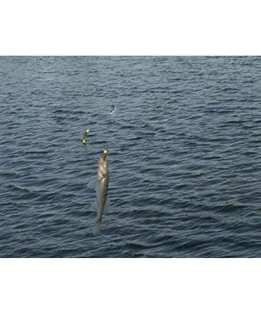 Alabama Rig Umbrella for Bass Fishing - 3 Arm Swim Baits Lures Bait Kit | Freshwater Trout Salmon - 2 Pcs Black Blue - Buy Online on GoSupps.com