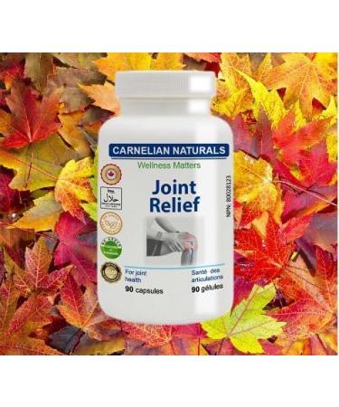 Joint Relief - Supplement for Joint Bone and Cartilage Health - Includes Glucosamine Chondroitin MSM Calcium Turmeric - A Unique Combination - No Preservatives No Artificial Colors or Flavours - Buy Online on GoSupps.com