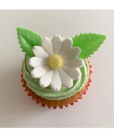 Holly Cupcakes 6 Beautiful Sugar Daisies & 12 Pretty Edible Wafer Leaves - Buy Online on GoSupps.com