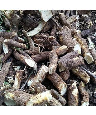 JEVR Pushkarmool Inula racemosa 250g Andere namen zijn Pushkarmool pushkarmool Orris Wortel inula racemosa Pokharmool Puskara mula Pohakarmul Puskar Pushkaramoola - Buy Online on GoSupps.com