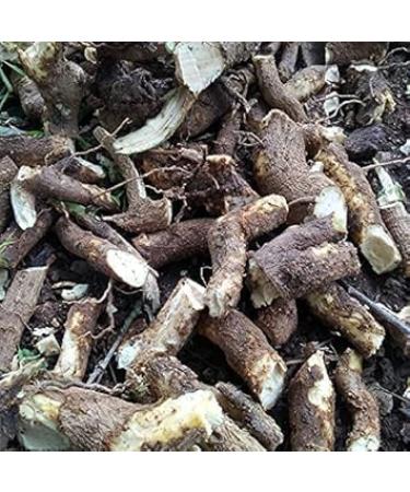 JEVR Pushkarmool Inula racemosa 250g Andere namen zijn Pushkarmool pushkarmool Orris Wortel inula racemosa Pokharmool Puskara mula Pohakarmul Puskar Pushkaramoola