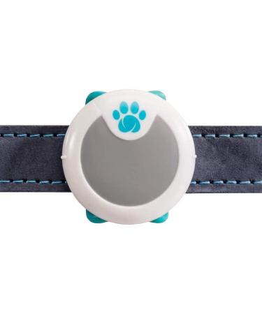 SureFlap Animo Dog Activity Tracker and Behavior Monitor - 0.06 LB - Buy Online on GoSupps.com