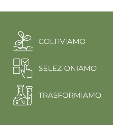  Bottega Verde Oat and Mallow - Face Cream - Refill - Soothing and Protective - With hyperfermented oat and mallow extracts - For delicate or sensitive skin - Buy Online on GoSupps.com