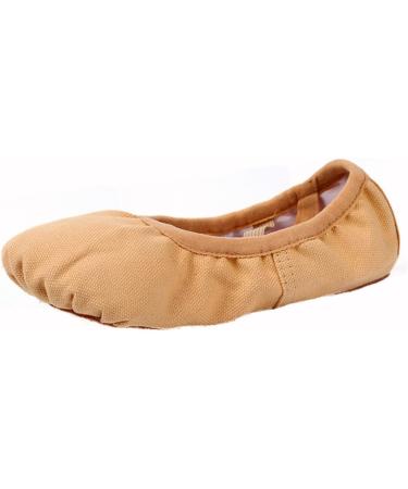 Buy Lurrose Foldable Ballet Shoes - Travel Friendly Stretch Sole Ideal for Ballet & Yoga - Comfortable Slippers for Dance Exercises - Buy Online on GoSupps.com