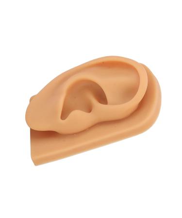 Ear Model Prevent Damage Waterproof Soft Silicone Right Ear Model Flexible Science Education for Display - Buy Online on GoSupps.com
