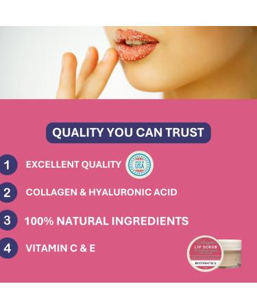 Lip Exfoliator Scrub and Moisturizer Watermelon Sugar Kiss Fruit Flavor Sugar Lip Scrub for Dark Lips Dryness and Overnight Hydration For Men & Women Made in the USA Botanicals by W.D.D. - Buy Online on GoSupps.com
