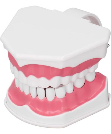 Vomeko Tooth Brushing Practice Model for Kids - Ideal Training Set with Brush - International Shipping Available - Buy Online on GoSupps.com