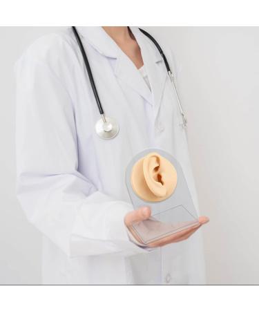 2Pcs Soft Silicone Ear Model with Acrylic Stand - Flexible Reusable Fake Ear for Piercing Practice and Jewelry Display (Skin Color) - Buy Online on GoSupps.com