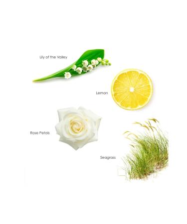 English Spa Collection Shampoo 15.5oz by Gilchrist & Soames (Old Version) - Buy Online on GoSupps.com