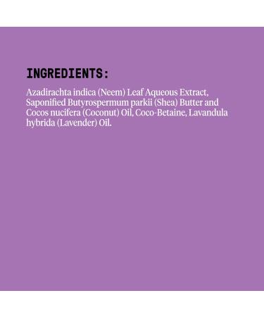 Alaffia Everyday Shea Body Wash - Moisturizing & Cleansing with Shea Butter, Neem & Coconut Oil - Lavender Scent - 2 Pack (32 Fl Oz Each) - Buy Online on GoSupps.com