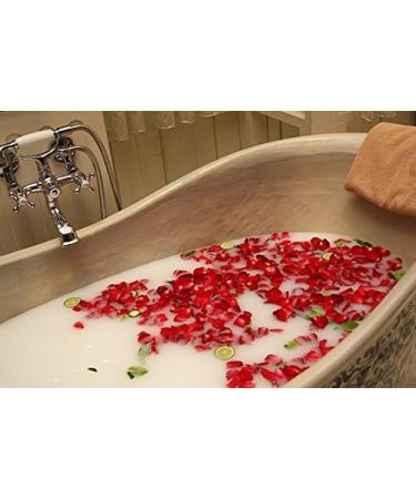 Luxury Red Soap Rose Single Large Romantic Flower in Holder Box. Valentines Day Love Red Rose Floral Scented. Small Unique Gifts for Her. - Buy Online on GoSupps.com