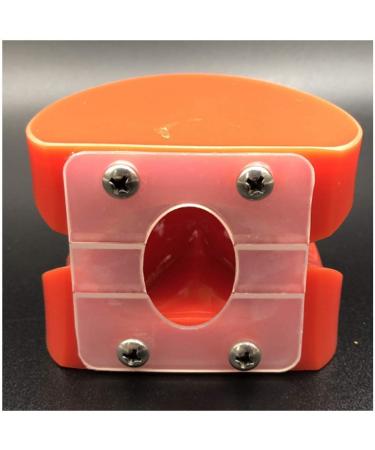 Dytah Toothpodont - Orthodontic Teeth Model with Mental Brackets & Ligature Ties | Red Study Tool for Teaching & Learning - Buy Online on GoSupps.com