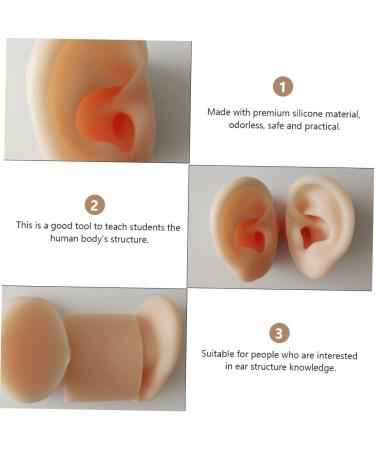 STOBOK 1 Pair Ear Picking Model Silicone Tunnels for Ears Ear Anatomy Model Anatomy Ear Model Fake Ear Artificial Display Ear Model Simulation Ear Mold Auditory Meatus Model Silica Gel - Buy Online on GoSupps.com