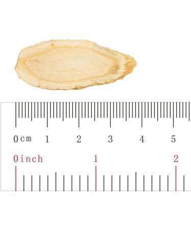 TAK SHING HONG American Ginseng Slice TSXL-AAA Premium Quality from USA Perfect for Ginseng Tea Wellness Gift for Him/Her 8oz - Buy Online on GoSupps.com