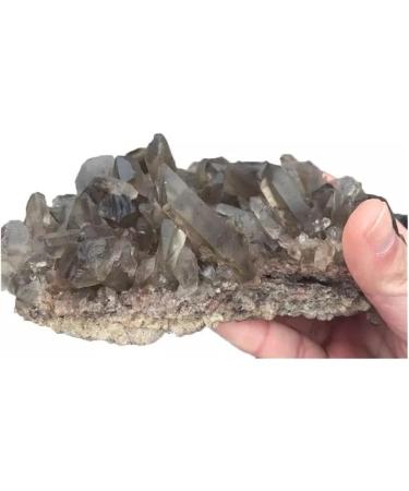 Natural Rough Smoky Quartz Crystal Cluster Specime Beautiful Crystal Cluster (Size : 1pc 760G-850G) - Buy Online on GoSupps.com