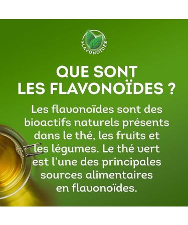 Lipton Th Vert Aromatis Infusion Froid ou Chaud Go t Myrtille & Mure Bien Etre Ingr dients d'Origine 100% Naturelle 240 Sachets Pyramid - Buy Online on GoSupps.com
