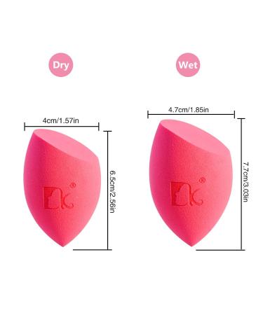 Dolovemk Oval Foundation Brush & Silicone Cleaning Pad Quick Makeup Brush Cleaner & Mini Sponge for Eyes & Nose - Buy Online on GoSupps.com