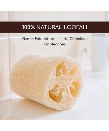 Organic Natural Loofah Sponge Set for Exfoliating Shower & Bath - 3 Pack - Buy Online on GoSupps.com