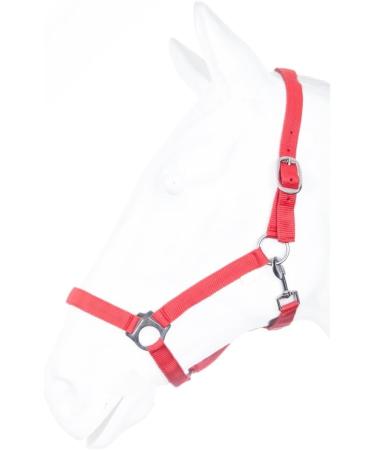 Buy RL24 - Red Nylon Halter BASICLINE for Thoroughbreds | Premium Quality Horse Gear | International Shipping Available - Buy Online on GoSupps.com