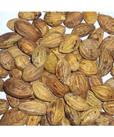Harde Whole Herb Terminalia chebula / Haritaki / Black Myrobalan- 100g - Buy Online on GoSupps.com