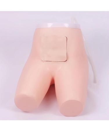 Buy Assisted Defecation Manikin Educational Model - Life Size Enema Training Tool for Nursing & Healthcare Professionals - Buy Online on GoSupps.com