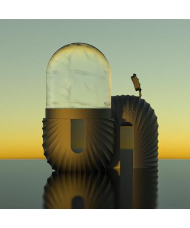 Face Ice Roller (Black)