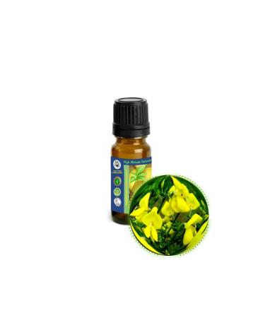 10ml (1/3oz) Broom (Genet Spartium Junceum) Absolute Essential Oil
