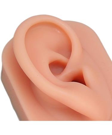 Silicone Ear Model Soft Silicone Nose Model Silicone Body Parts for Piercing Practice Silicone Flexible Model Human Ear Model for Jewelry Display Teaching Instructions (#1) - Buy Online on GoSupps.com