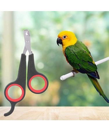Juliyeh Pet Nail Clipper Professional Claw Trimmer Kitten Nail Clipper for Cat Small Breed Dog Rabbit and Small Animal(Stainless Steel) Black - Buy Online on GoSupps.com