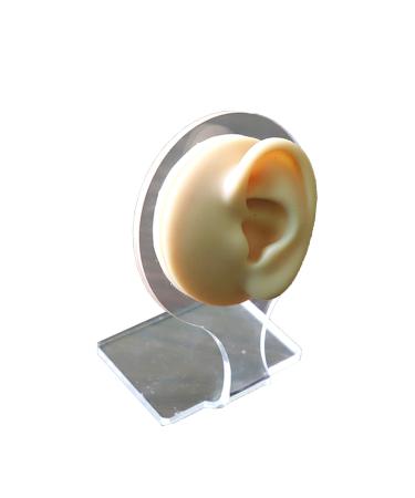 Silicone Ear Model Practice Piercing Tools Body Jewelry Ear Stud Tool Simulation Display Props for Jewelry Display Teaching Tool Right (Left)