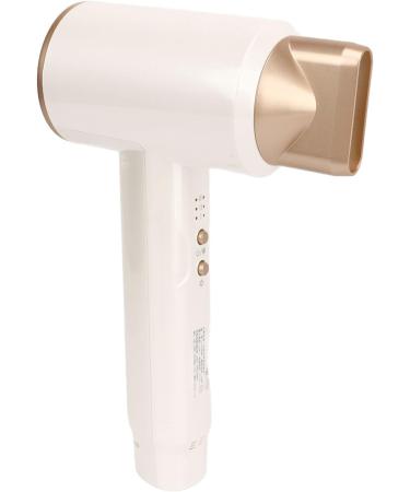 Cordless Hair Dryer 100 240 V 3 Speeds Adjustable Portable White for Home Use (US Plug) - Buy Online on GoSupps.com