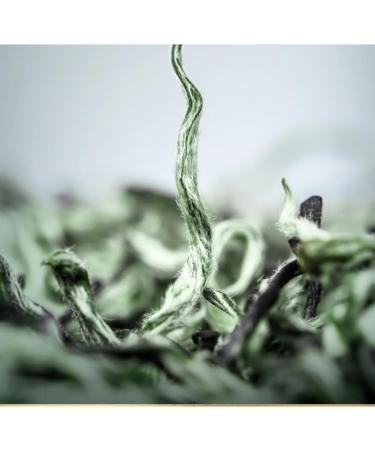 HQZM Biluochun Green Tea Premium PreQingming Fresh Tea 250g 882oz Loose Leaves Rich Aroma - Buy Online on GoSupps.com