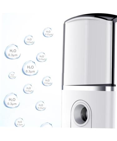 Healeved 3 Pcs Fashion Mist Sprayer Steamer Creative Nano Mist Sprayer Mini Face Spray Device - Buy Online on GoSupps.com