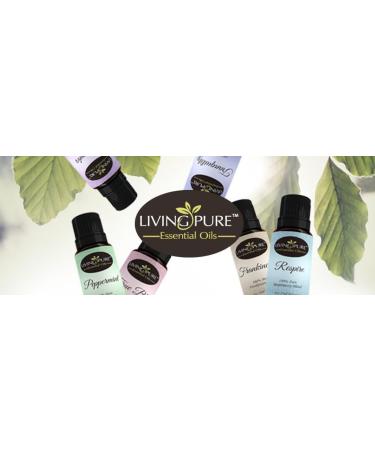 1 Respiratory Essential Oil Blend - Allergy Relief Congestion Support & Organic Aromatherapy - 15ml - Buy Online on GoSupps.com