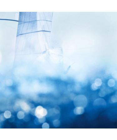 Maison Margiela Paris Replica Sailing Day 3.4 oz Eau de Toilette Spray - Buy Online on GoSupps.com