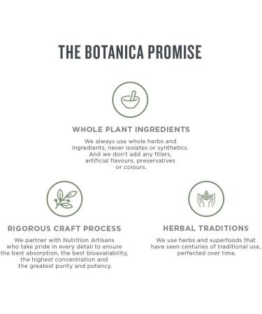 Botanica Vegan Protein Powder for Brain Booster | Vanilla Superfood Protein Powder 606g | Organic Plant-Based with Lion's Mane Mushroom Rhodiola & B Vitamin Complex | Brain Support | No Gluten Dairy Stevia or Added Sugar | 14 Servings - Buy Online on GoSupps.com