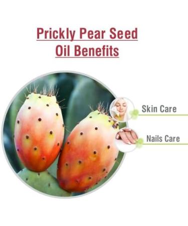 Salvia Camphor Oil (Cinnamonutn camphora) Natural Pure Undiluted Uncut Carrier Oil 100ml Pricky Pear Seed 15 ml (Pack of 1) - Buy Online on GoSupps.com