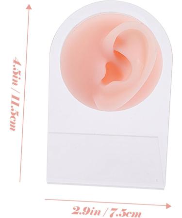 Beaupretty Silicone Ear Model for Piercing and Jewelry Kits - Ear Jewelry Holder and Earring Stud Set for Babies - Earring Support Moulds - Complexion 11.5x7.5cm - Buy Online on GoSupps.com