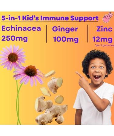 Generic 5-in-1 Kid's Immune Support Gummy Manuka Honey Vitamin C Zinc Echinacea Ginger Gummy Supplement Essential Immune Support Gummies for Daily Use Natural Citrus Flavored - 60 Count - Buy Online on GoSupps.com