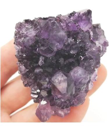 Natural Crystal Rough Stone Crafts Small Size Natural Purple Amethyst Quartz Stone Cluster Geode 1PC 150g-200g - Buy Online on GoSupps.com