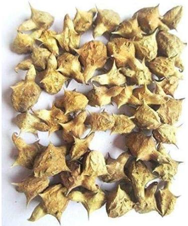 Organic Terrestris/Gokhru Powder - Ayurvedic Herb, UK Organic Certified 300g (Pack of 1) - Buy Online on GoSupps.com