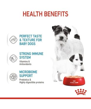 Royal Canin Dog Food Starter Mousse 12 x 195 g - Buy Online on GoSupps.com
