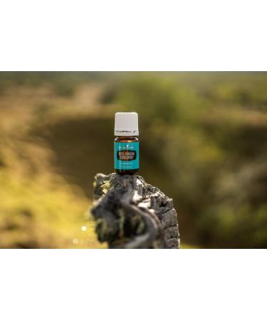 Young Living Royal Hawaiian Sandalwood Essential Oil - 5 ml for Meditation Yoga & Youthful Skin Care - Natural Aromatherapy Beauty Solutions - Buy Online on GoSupps.com