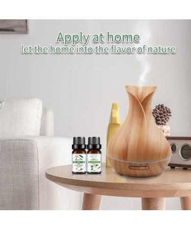 Water Soluble Essential Oil Set - Natural Fresh Air Bottles | Versatile & Practical (4) | International Shipping Available - Buy Online on GoSupps.com