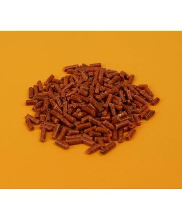 Olewo Carrots Pellets Double Pack | 2 x 200g | Nutrient-Rich Dog Rodent Cat & Bird Feed | Boost Body Defense - Buy Online on GoSupps.com