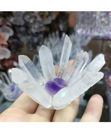 Amethyst Crystals White Quartz Crystal Cluster with Purple Amethyst Specimen DIY Gifts JIZTGEDM - Buy Online on GoSupps.com